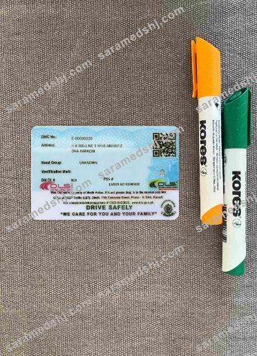 Pakistan Sindh province driving license (2016 present) photolook BACK